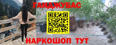 твердый Сланцы