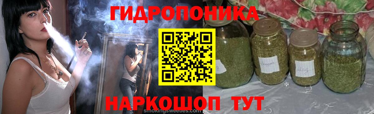 Ревда  Бошки Шишки VHQ  Бошки Шишки Amnesia  Вход с VPN 